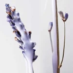 Ab-10798.webp