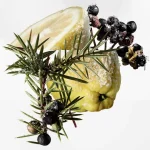 Ab-1136.webp