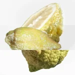 Ab-1136.webp