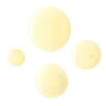 Ab-12718.webp
