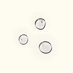 Ab-21832.webp