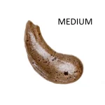 Ab-27008.webp