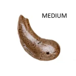 Ab-27022.webp