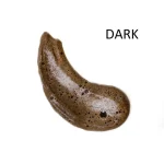 Ab-27022.webp