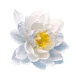 Ab-28929.webp