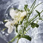 Ab-37299.webp