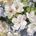 Ab-37326.webp