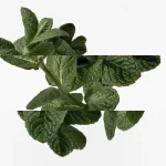 Ab-37390.webp
