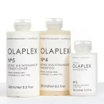 OLAPLEX Maintain and Perfect  1each